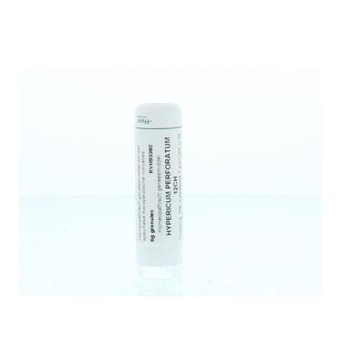 Hypericum perforatum 12CH