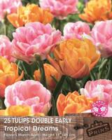Prins tulpen tropical dreams 25 bollen - thumbnail