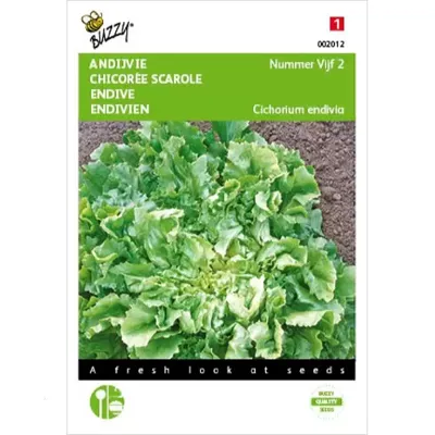 Andijvie Nummer Vijf