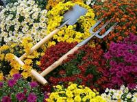 De Wit Handspade essen t steel 80cm dewit - thumbnail