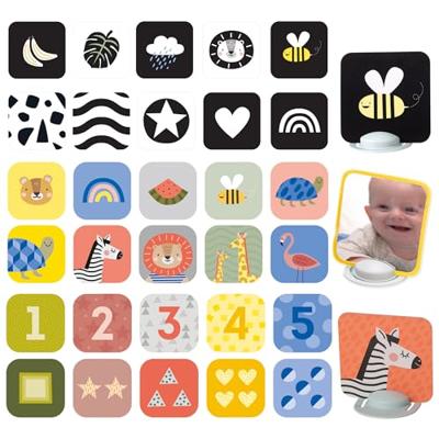 Activiteitenkaarten - TAF TOYS meerkleurig