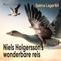 Niels Holgersson's wonderbare reis - thumbnail