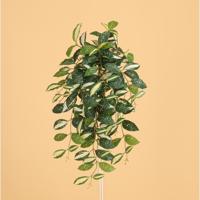 Dracaena Surculosa Milky way Kunst Hanger 75cm - thumbnail