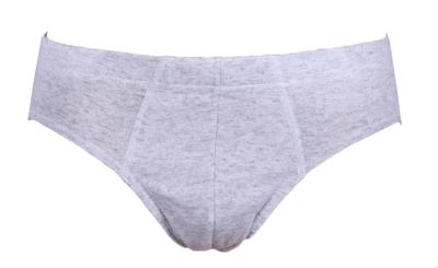 HL-tricot heren sport slip kleur - Heren onderbroek - Klassieke heup slip mannen