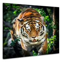 Schilderij - Tijger in vol ornaat, 3 maten, wanddecoratie, premium print - thumbnail