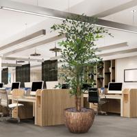 Fishtail Kunstpalm Deluxe XXL 300cm - thumbnail