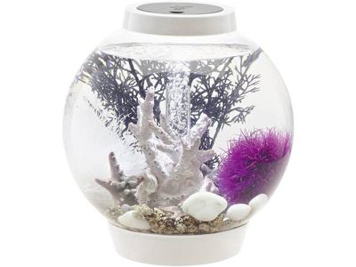 biOrb Classic 15 LED - wit