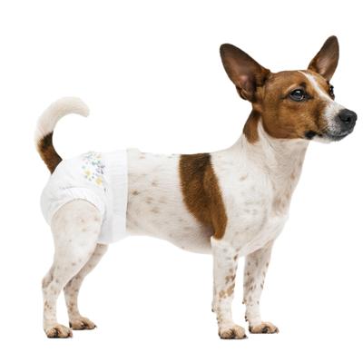 Nobleza Luiers voor teefje en kat - Maat S - 22 / 40 cm - 12 Stuks