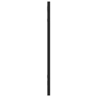 VidaXL Wandspiegel rechthoekig 20x50 cm ijzer zwart - thumbnail