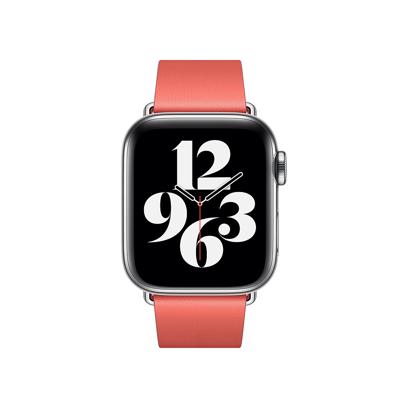 Apple Modern Buckle Apple Watch large 38mm / 40mm / 41mm Pink Citrus