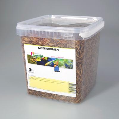 Meelwormen 5 liter voer Suren Collection - Suren collection