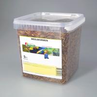 Meelwormen 5 liter voer Suren Collection - Suren collection - thumbnail