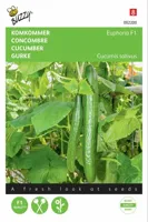 Zaden Komkommer Euphoria F1 Buzzy - Buzzy - thumbnail