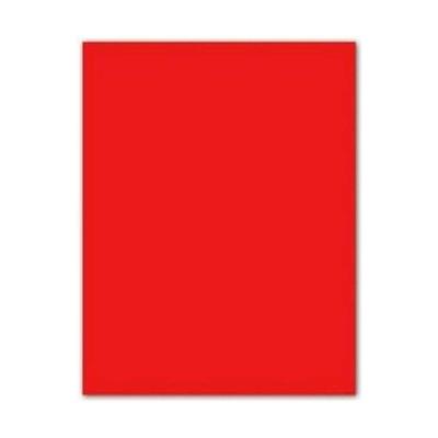 Fiches Iris Rood 50 x 65 cm