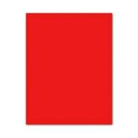 Fiches Iris Rood 50 x 65 cm - thumbnail