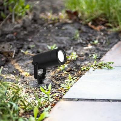 Searchlight Zwarte prikspotSplot - 5010BK