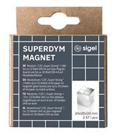 Sigel Neodymium magneet C20 Super-Strong (b x h x d) 20 x 20 x 20 mm Dobbelsteen Zilver 2 stuk(s) BA706 - thumbnail