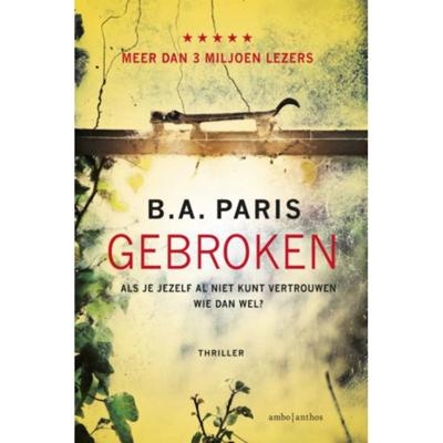 Gebroken (Paperback)