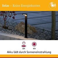 Paulmann Staande solar lampRyse met sensor - 94249 - thumbnail