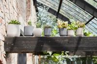 Capi Europe Vaas cilinder Groove - 15x17 - Antraciet - thumbnail