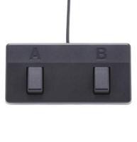 Boss Acoustic Singer Pro 120W akoestische gitaarversterker - thumbnail