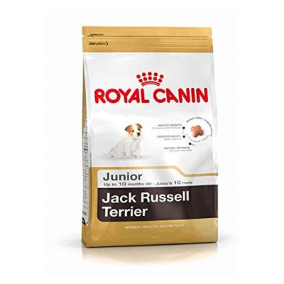 Royal Canin Puppy Jack Russell Terriër hondenvoer 3 x 3 kg