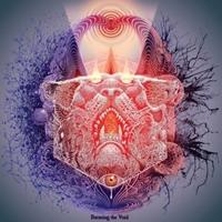 Reverie - CD (0856974008968) - thumbnail