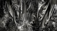 Muance Muance Fotobehang Forest of Silk - MU14051 - thumbnail