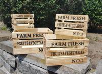 Paulownia Houten Kisten 4 Stuks - thumbnail