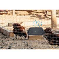 Ultrasone rat en muis verjager Weitech (5414099003449) - thumbnail