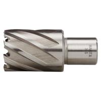 Makita HB30S | Kernboor HSS 30x30mm | Weldon - thumbnail