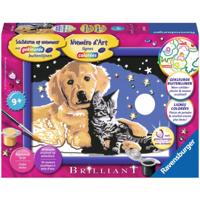 Ravensburger Schilderen op Nummer schitterende sterrenhemel - thumbnail