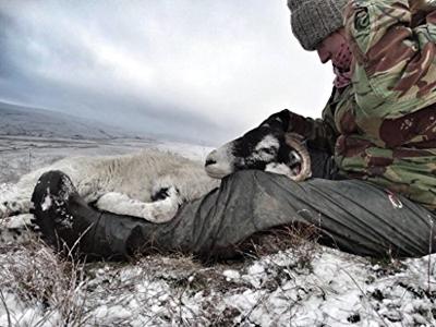 Dunlop C662933 Thermo + Purofort S5 full safety Groen - Maat 42 (UK8) - 15.032.047.08 Dunlop C662933 Thermo + Purofort S5 full safety Groen - Maat 42 (UK8) - 15.032.047.08