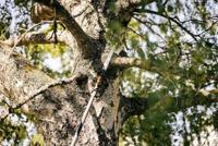 Fiskars QuikFit 1000692 Snoeizaag - thumbnail