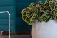 Pottery Pots Bloempot Mini Orb Grey washed-Bruin D 39 cm H 35 cm - thumbnail