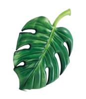 Intex 58782EU Opblaasbare Palmblad Luchtbed 213x142 cm - thumbnail