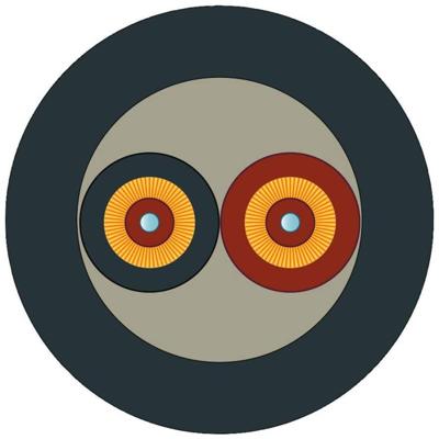 Siemens 6XV1873-5RN30 Glasvezelkabel