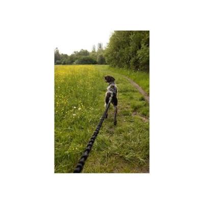 Tractielijn voor honden - CLASSICA - 1,9 m - Honden tot 25 kg