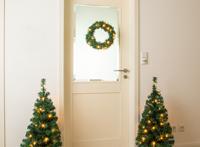 Premium Set Van 2 Kerstbomen En 1 Krans - 50 Warm Witte LED's - thumbnail
