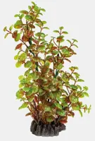Art plant 25cm rotala - thumbnail