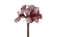 Countryfield kunstbloem amaryllis 57 cm roze - thumbnail