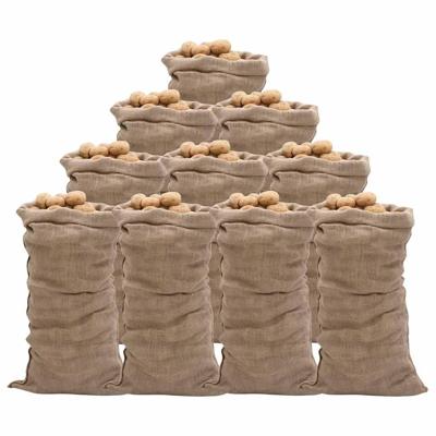 VidaXL Jutezakken 10 stuks 220 g/m² 65x135 cm 100% jute VidaXL Jutezakken 10 stuks 220 g/m² 65x135 cm 100% jute