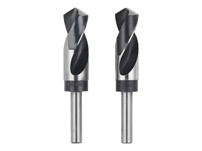 PARKSIDE HSS spiraalboor (2-delig)