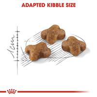 Royal Canin voer voor kitten 4kg - thumbnail
