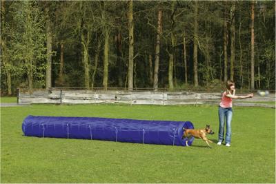 BZ AGILITY TUNNEL LARGE 525X60X60 BZ AGILITY TUNNEL LARGE 525X60X60