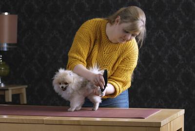 Moser Tondeuse prima accutondeuse