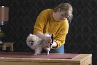 Moser Tondeuse prima accutondeuse - thumbnail