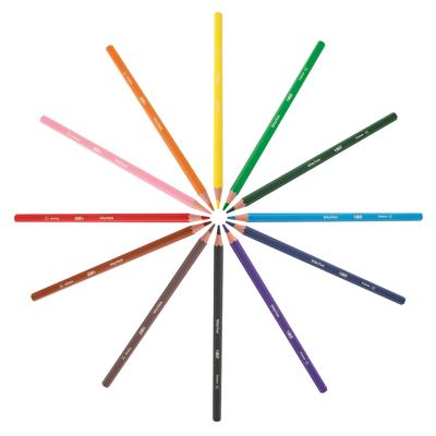 Bic Kids kleurpotlood Ecolutions Evolution 144 potloden (classpack)