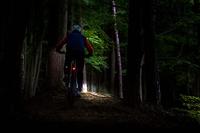 LITEMOVE TS-SP E-Bike Rear Light - thumbnail