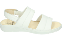 Ganter 200521 - alle - thumbnail